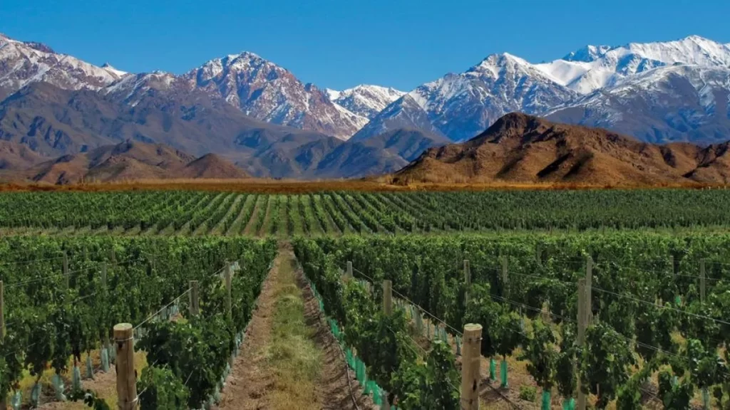 Ruta del Vino - Enoturismo Argentina
